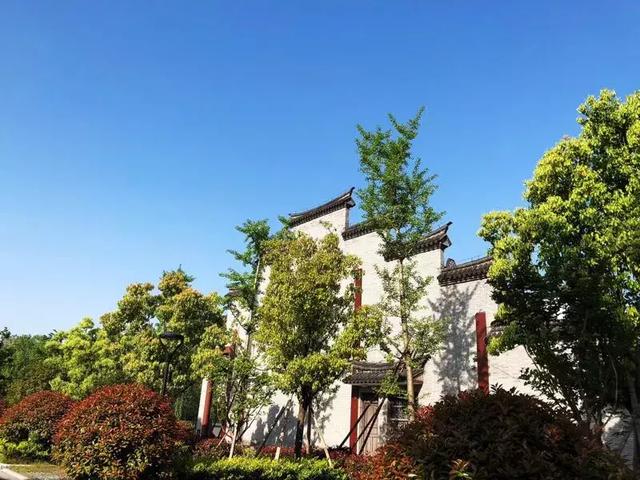 二審期間取得建設工程規(guī)劃許可證，仍可判施工合同有效！
